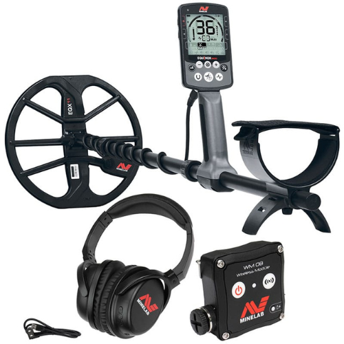 Minelab Equinox 800